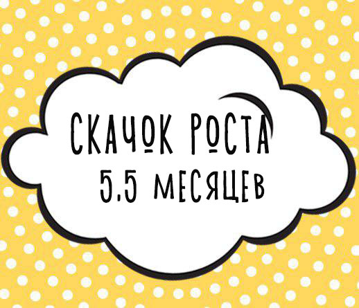 Пятый скачок роста (5,5 месяцев)